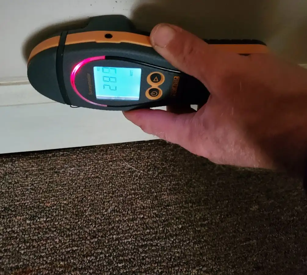 Moisture detection at baseboard during Sewage Cleanup & Sanitation in Rockcreek
